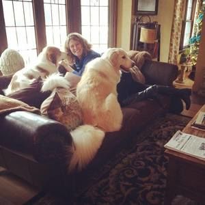 Meet your Posher, Lorrie